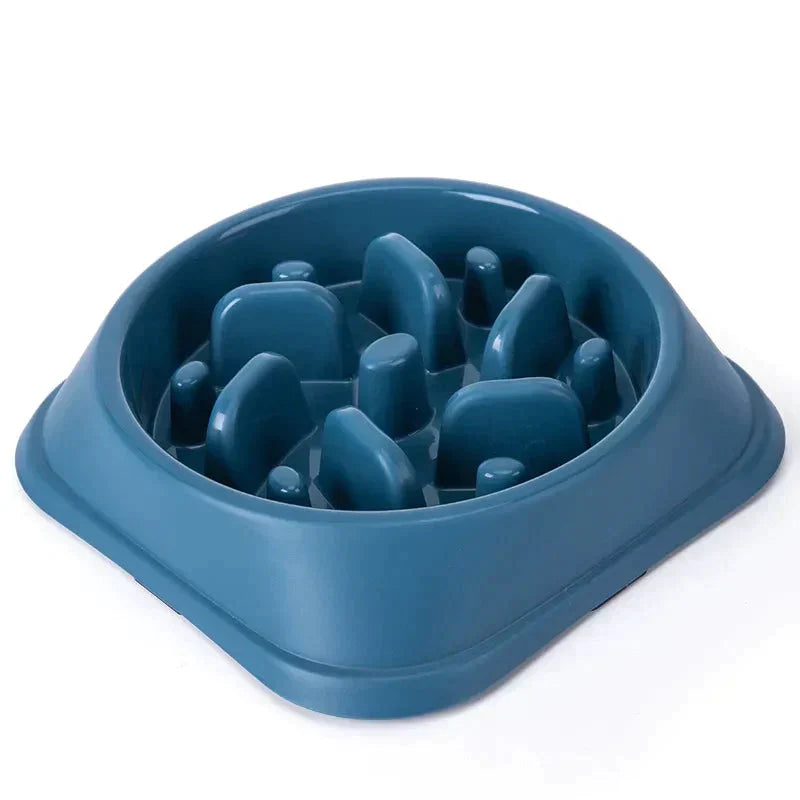Pet Slow Feeder Bowl Petritzy